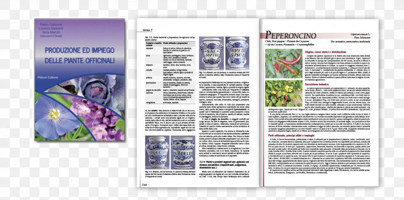 Produzione Ed Impiego Delle Piante Officinali Pianta Officinale Brochure Font, PNG, 1332x661px, Pianta Officinale, Brochure, Media, Text Download Free