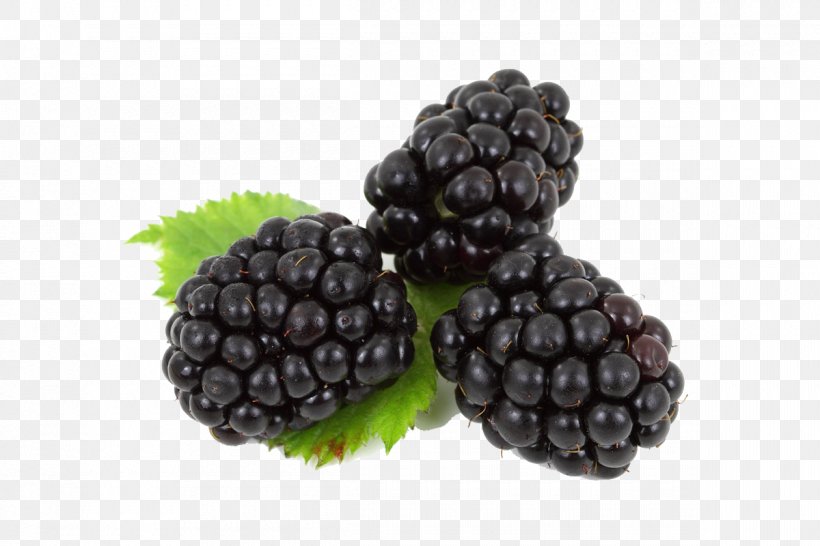 Juice Frutti Di Bosco Blackberry Fruit Blueberry, PNG, 1200x800px, Juice, Apple, Berry, Bilberry, Blackberry Download Free