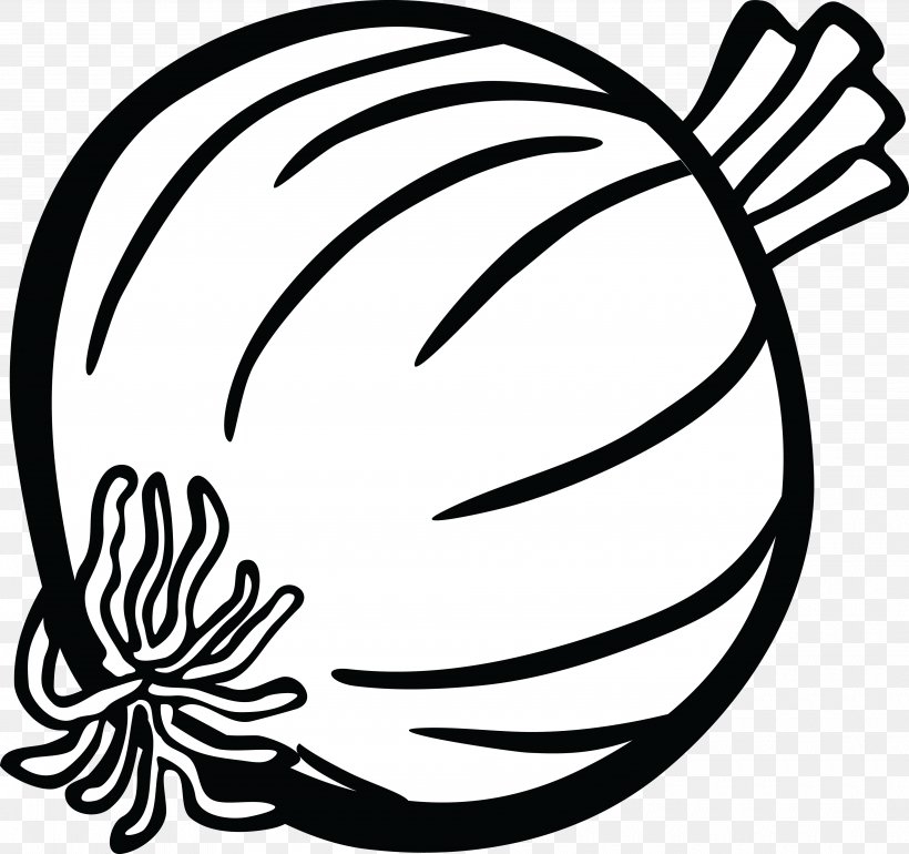 Onion Drawing Clip Art, PNG, 4000x3760px, Onion, Art, Artwork, Black, Black And White Download Free