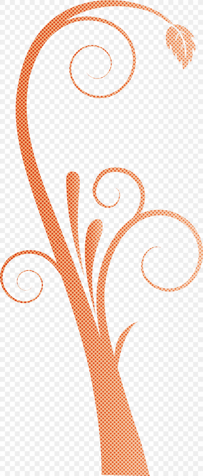 Classic Frame Wedding Frame Flower Frame, PNG, 1281x3000px, Classic Frame, Flower Frame, Line, Orange, Peach Download Free