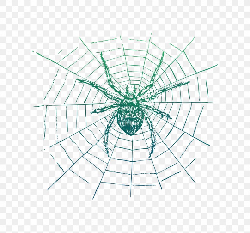 Spider-Man Spider Web Spiders & Insects Black House Spider, PNG, 1500x1400px, Spider, Arachnid, Black House Spider, Diagram, Drawing Download Free