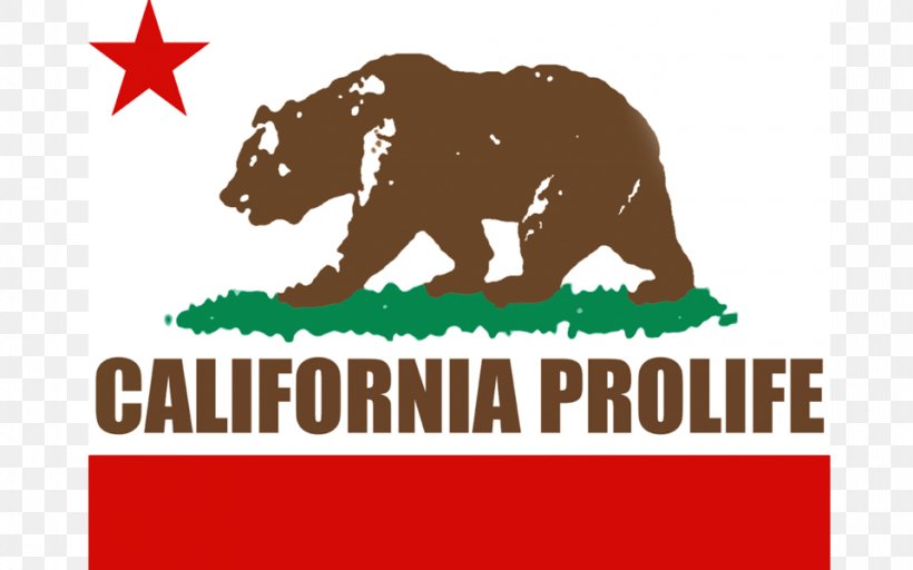 California United States Anti-abortion Movement National Right To Life Committee Organization, PNG, 960x600px, California, Area, Brand, Election, Flag Of California Download Free