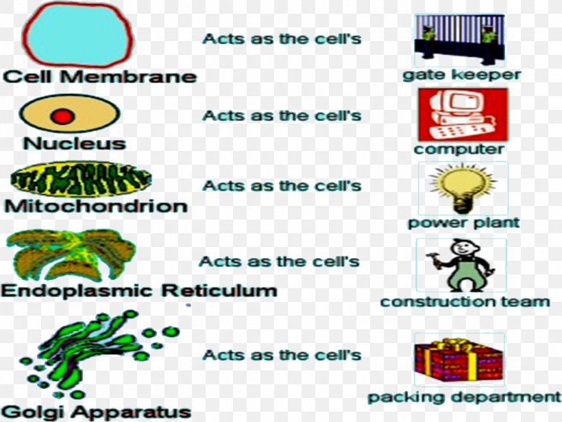 Cell Biology Science Microfilament, PNG, 1414x1061px, Cell, Adenosine Triphosphate, Area, Biological Membrane, Biology Download Free