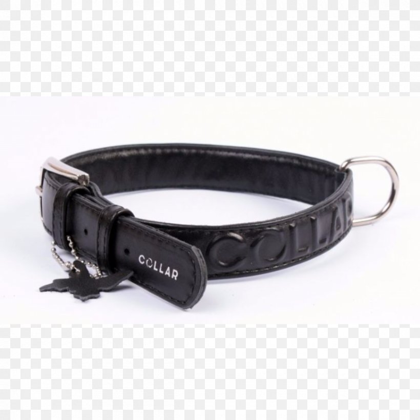 Dog Collar Belt, PNG, 1200x1200px, Dog, Belt, Collar, Dog Collar, Fashion Accessory Download Free