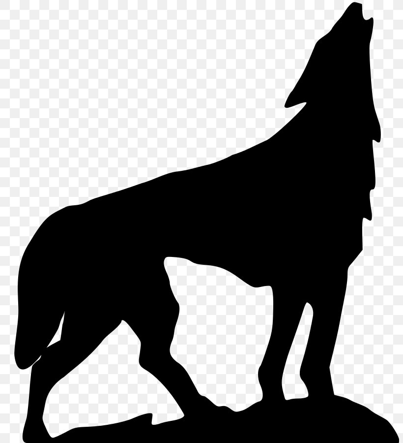 Gray Wolf Clip Art, PNG, 804x900px, Gray Wolf, Black, Black And White, Carnivoran, Dog Download Free