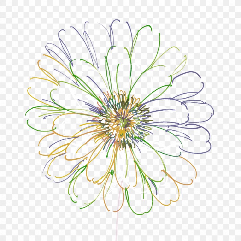 Line Pattern, PNG, 1181x1181px, Petal, Body Jewelry, Chrysanths, Cut Flowers, Daisy Download Free