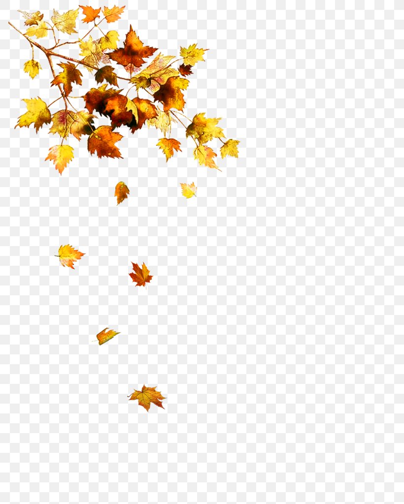 Leaf Autumn Image Clip Art, PNG, 785x1024px, Leaf, Autumn, Autumn Leaf Color, Branch, Feuille Morte Download Free