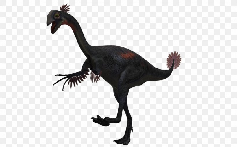 Velociraptor Animal, PNG, 1024x639px, Velociraptor, Animal, Animal Figure, Beak, Dinosaur Download Free