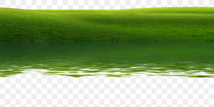 Water Resources Lawn Meadow Green Wallpaper, PNG, 1200x600px, Lawn, Computer, Energy, Grass, Grass Family Download Free