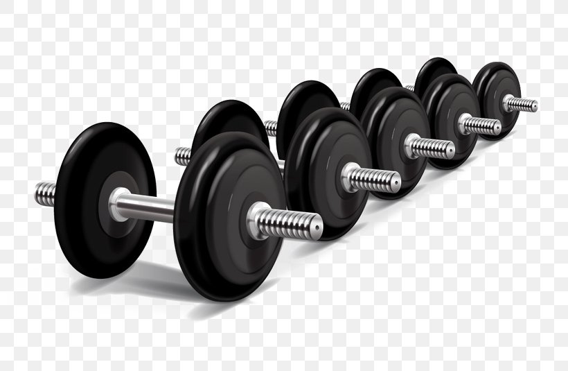 Weight Training Physical Exercise Weight Machine Olympic Weightlifting, PNG, 800x535px, Weight Training, Automotive Tire, Barbell, Bench, Bodybuilding Download Free