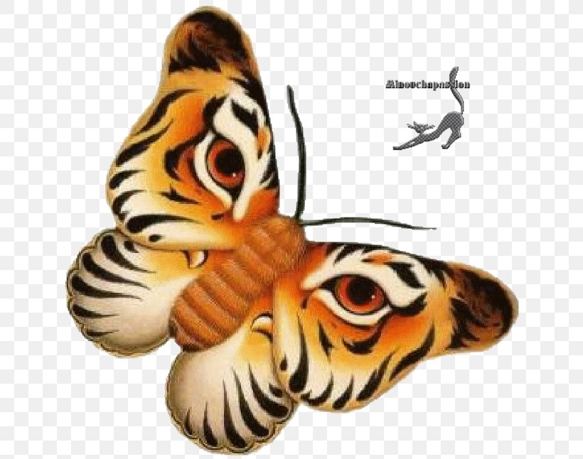 Afternoon Morning Clip Art, PNG, 650x646px, Afternoon, Butterfly, Day, Evening, Insect Download Free