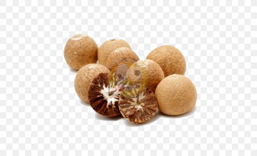 Areca Palm Areca Nut Betel Sirsi, Karnataka, PNG, 500x500px, Areca Palm, Areca Nut, Betel, Black Pepper, Catechu Download Free