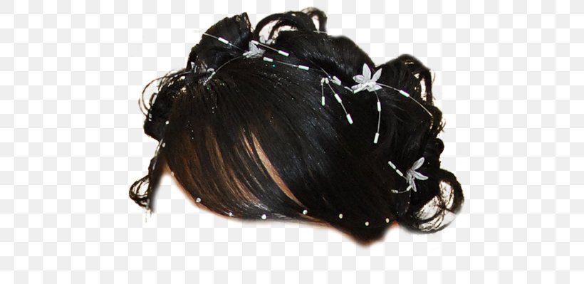 Capelli Teofipol Wig Hair Tie Hairstyle, PNG, 500x399px, Capelli, Albom, Black, Costume, Fashion Accessory Download Free