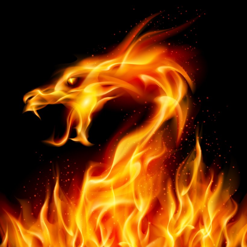 Fire Dragon Clip Art, PNG, 1024x1024px, Fire, Dragon, Fire Breathing, Flame, Heat Download Free