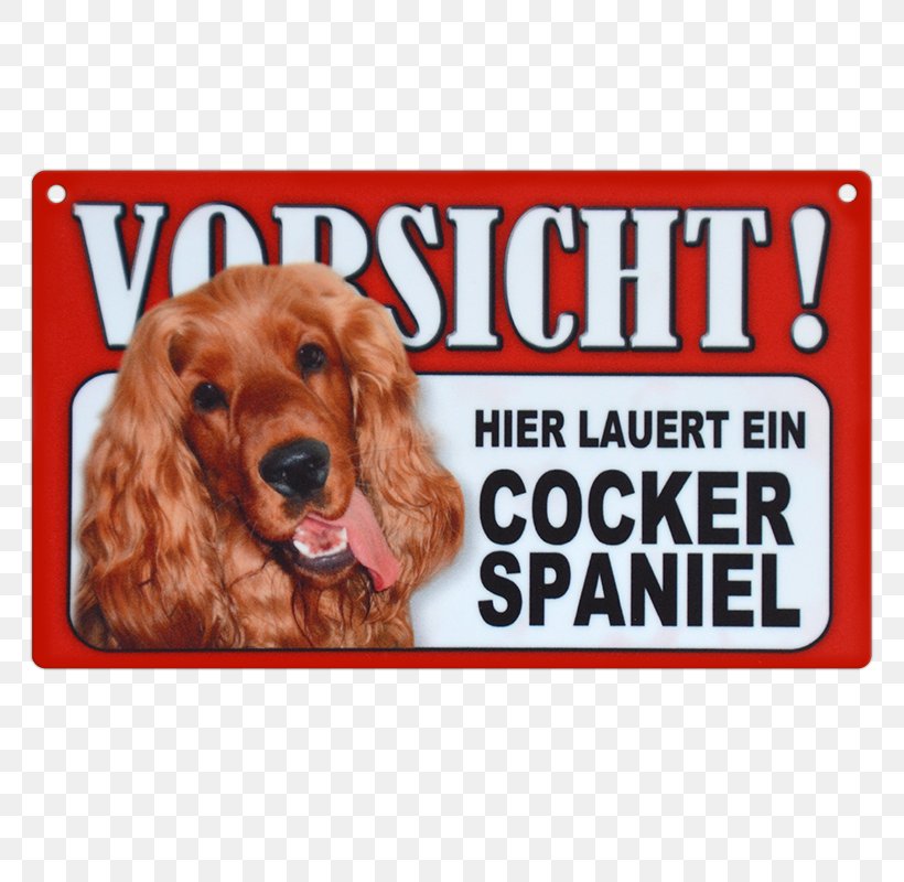 Irish Setter Dog Breed Puppy Yorkshire Terrier Companion Dog, PNG, 800x800px, Irish Setter, Breed, Carnivoran, Companion Dog, Dog Download Free
