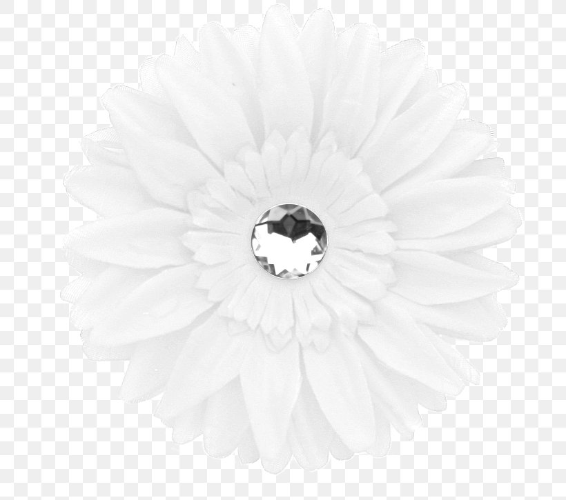 Transvaal Daisy White, PNG, 707x725px, Transvaal Daisy, Black And White, Daisy Family, Flower, Flowering Plant Download Free