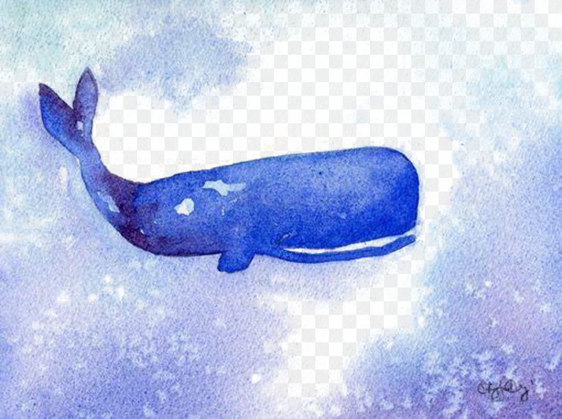 Whale Illustration, PNG, 999x746px, Whale, Art, Blue, Cartoon, Dolphin Download Free