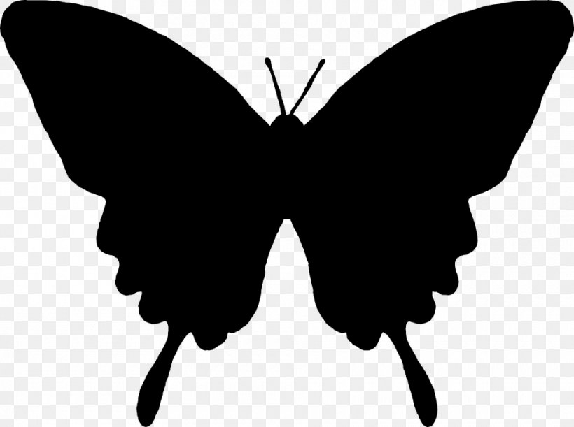 Butterfly Silhouette, PNG, 960x716px, Butterfly, Blackandwhite, Brushfooted Butterfly, Insect, Moth Download Free