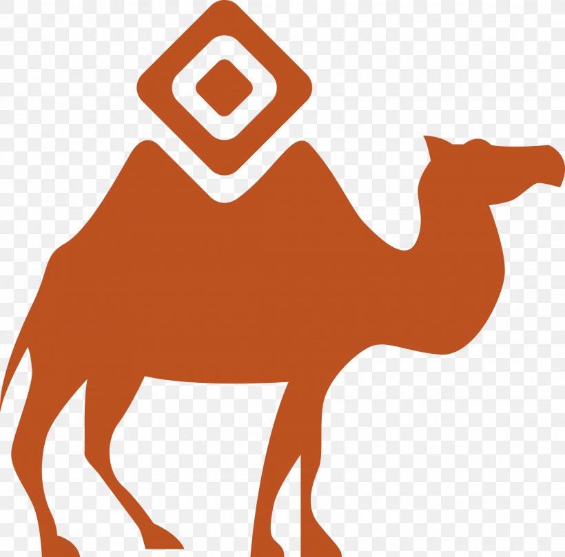 Chengdu Marketing Sohu Advertising Product, PNG, 2220x2191px, 2018, Chengdu, Advertising, Arabian Camel, Brand Download Free