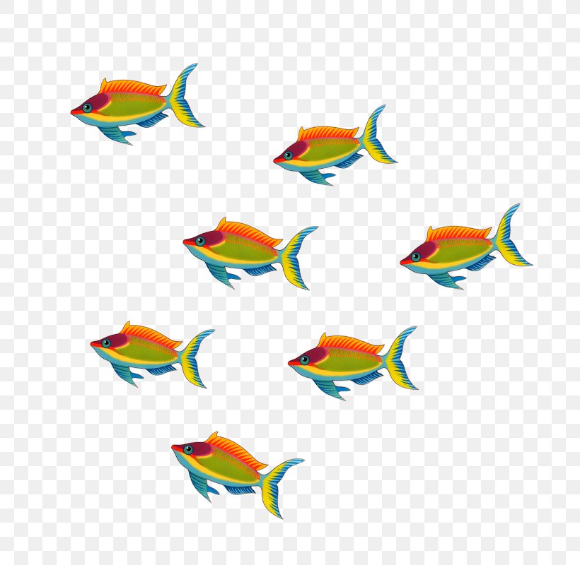 Clip Art Image Download, PNG, 800x800px, Fish, Animal, Art, Organism Download Free