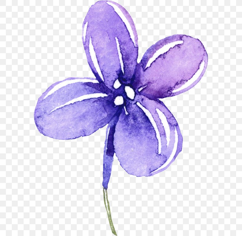 Clip Art Image Vector Graphics Violet, PNG, 592x800px, Violet, Drawing, Flower, Flowering Plant, Iris Download Free