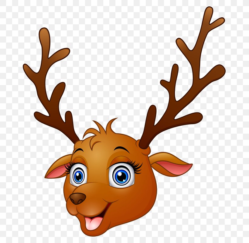 Vector Graphics Image Cartoon Illustration Animal, PNG, 800x800px, Cartoon, Animal, Animation, Antler, Cuteness Download Free