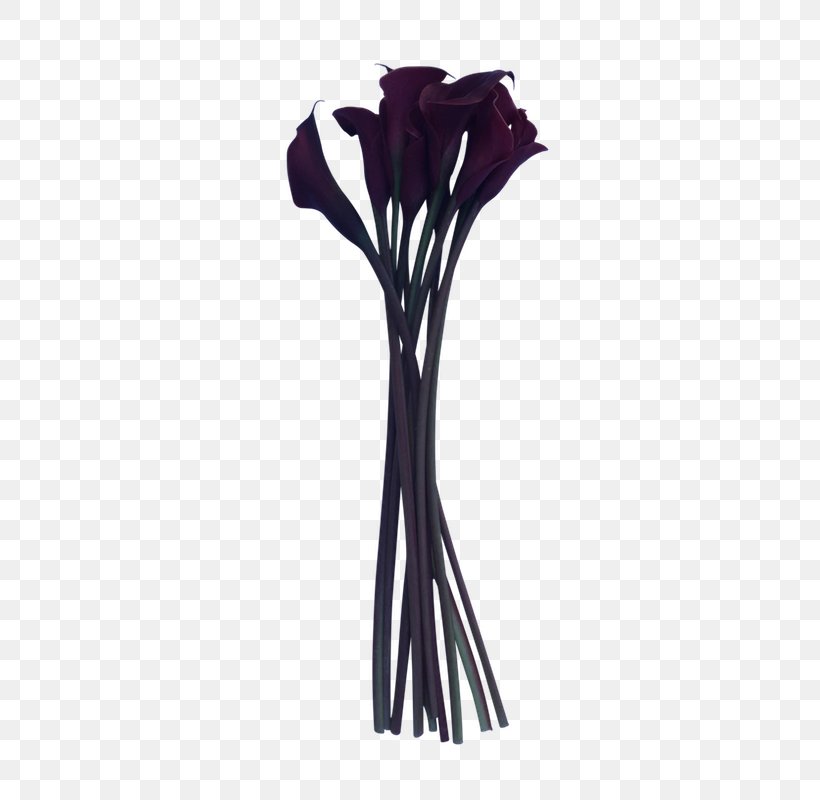 Flower Vase, PNG, 600x800px, Flower, Plant, Purple, Vase, Violet Download Free