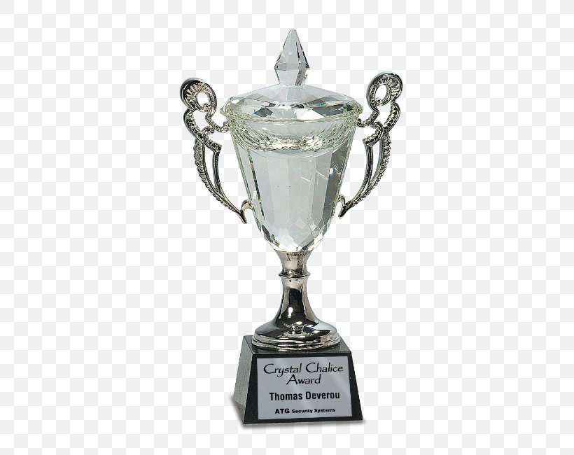 Trophy Cup Award Commemorative Plaque Engraving, PNG, 407x650px, Trophy, Award, Commemorative Plaque, Crystal, Cup Download Free