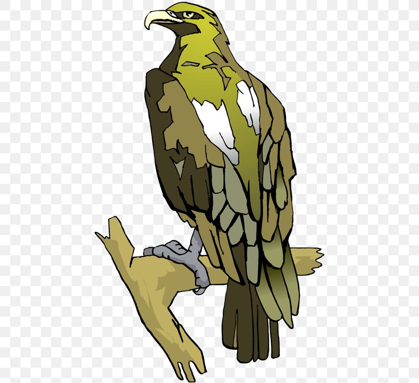 Clip Art Bald Eagle Oryol, PNG, 450x750px, Bald Eagle, Beak, Bird, Bird Of Prey, Character Download Free