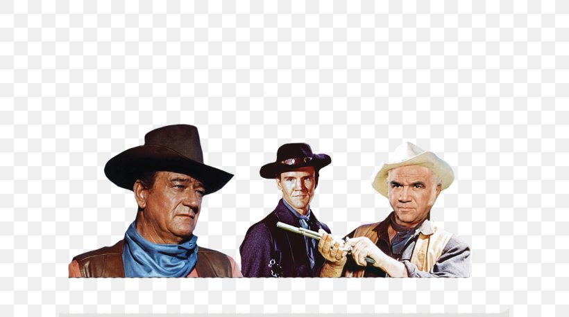 Cowboy Hat Universal Pictures Human Behavior Fedora, PNG, 649x458px, Cowboy Hat, Behavior, Cowboy, Fedora, Gentleman Download Free