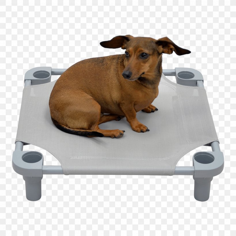 Dog Breed Puppy Snout Bed, PNG, 2000x2000px, Dog Breed, Bed, Breed, Dog, Dog Bed Download Free