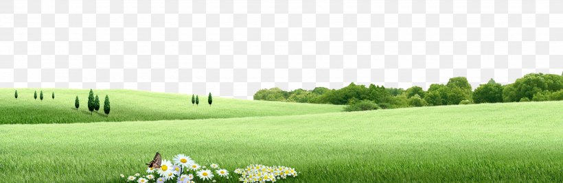 Flowers And Grass Elements, PNG, 3500x1143px, Grassland, Agriculture, Brand, Crop, Energy Download Free