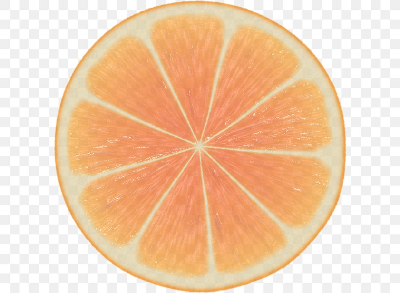 Orange, PNG, 600x600px, Citrus, Citric Acid, Food, Fruit, Grapefruit Download Free