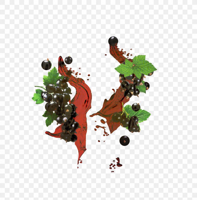Plant Leaf, PNG, 1034x1047px, Grape, Currant, Grapevine Family, Leaf, Liquid Download Free