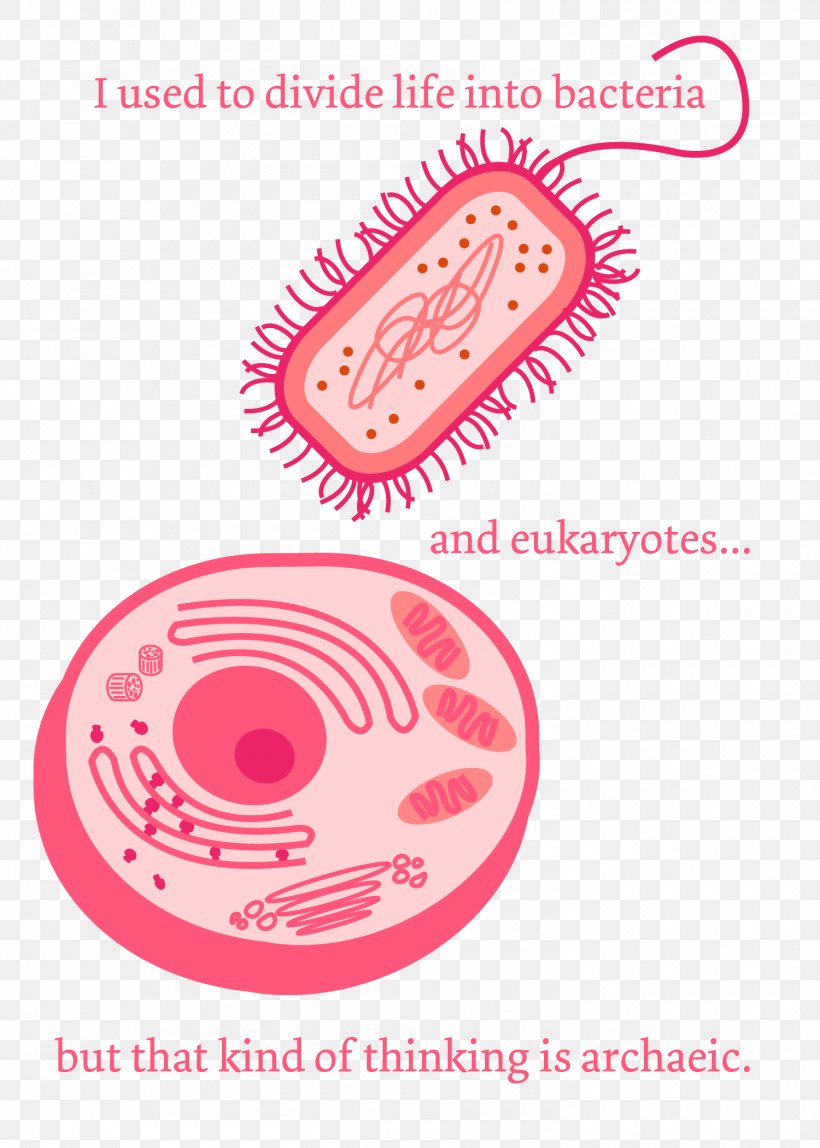 Pun Science Bacteria Microorganism, PNG, 1500x2100px, Pun, Area, Bacteria, Chemistry, Humour Download Free