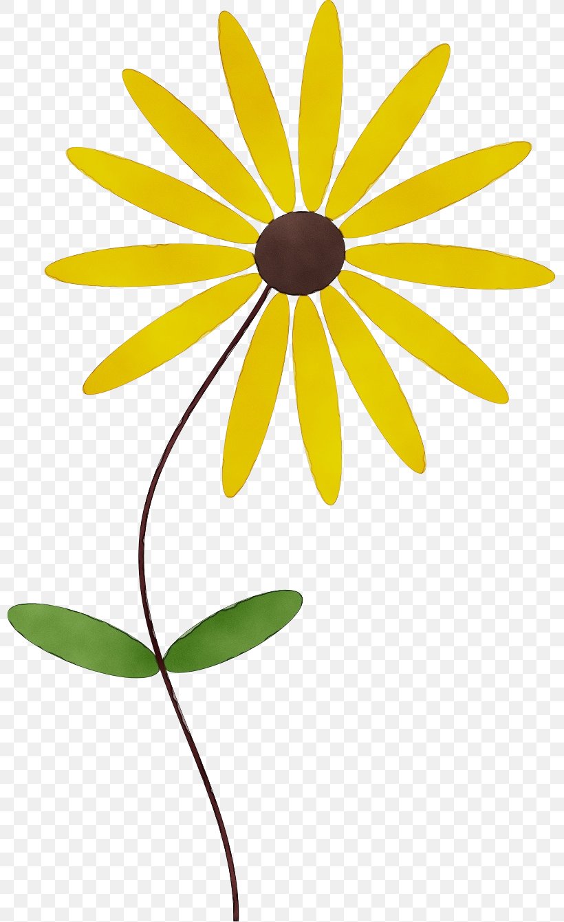 Yellow Flower Plant Black-eyed Susan Petal, PNG, 797x1341px, Watercolor, Blackeyed Susan, Chamomile, Flower, Leaf Download Free