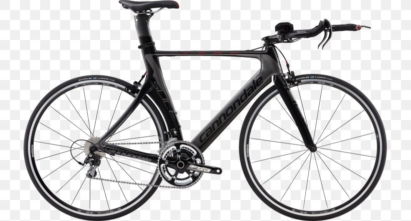 Giant Bicycles Triathlon Equipment Racing Bicycle Cycling, PNG, 725x442px, Giant Bicycles, Bicycle, Bicycle Accessory, Bicycle Drivetrain Part, Bicycle Fork Download Free