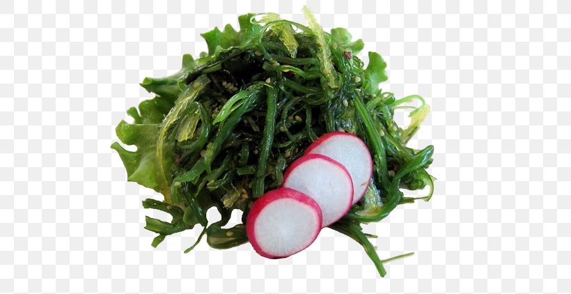 Kelp Edible Seaweed Wakame Algae, PNG, 600x422px, Kelp, Algae, Brown Algae, Dietary Supplement, Dish Download Free