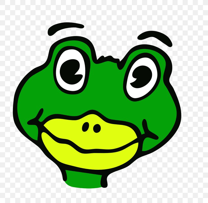 Toad Frog Drawing Clip Art, PNG, 800x800px, Toad, Amphibian, Artwork, Drawing, Frog Download Free