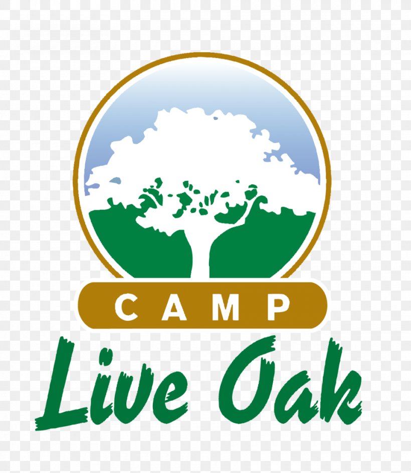 Fort Lauderdale Camp Live Oak Summer Camp Day Camp, PNG, 960x1106px, Fort Lauderdale, Area, Brand, Camping, Child Download Free