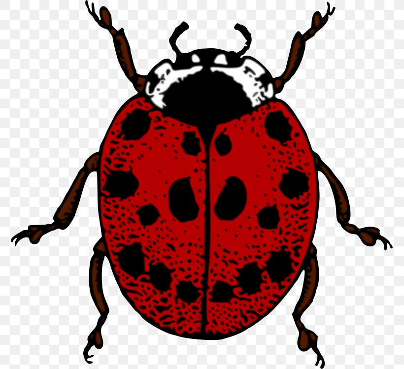 Ladybug, PNG, 775x749px, Insect, Beetle, Jewel Bugs, Ladybug, Leaf Beetle Download Free