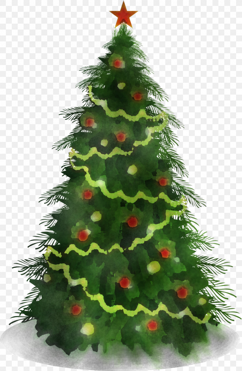 Christmas Tree, PNG, 1045x1600px, Christmas Tree, American Larch, Balsam Fir, Biome, Branch Download Free