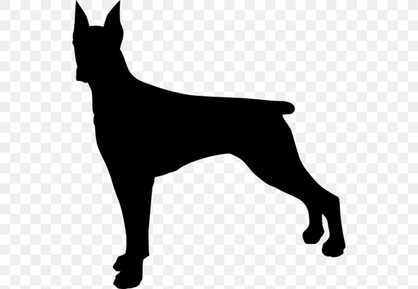 Dobermann Poodle German Shepherd Clip Art, PNG, 536x567px, Dobermann, Animal, Black, Black And White, Carnivoran Download Free