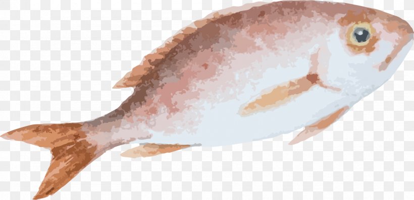 Fish Cartoon Drawing, PNG, 1617x783px, Fish, Animal Source Foods, Cartoon, Designer, Drawing Download Free