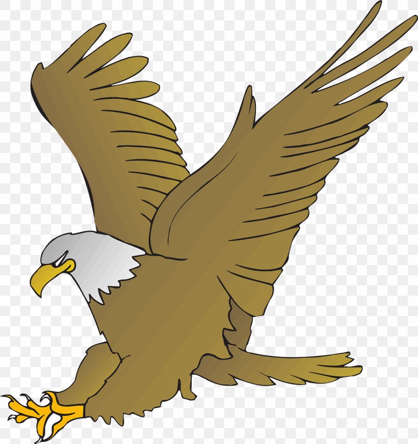 Bald Eagle Cartoon Drawing Clip Art, PNG, 1204x1280px, Bald Eagle, Accipitriformes, Beak, Bird, Bird Of Prey Download Free