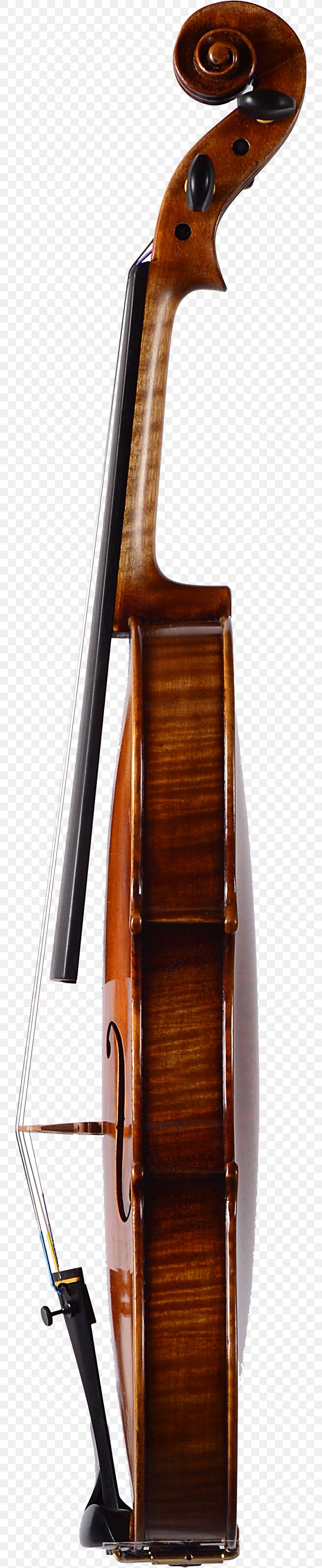 Bass Violin Double Bass Violone Viola, PNG, 747x3985px, Bass Violin, Bass, Bowed String Instrument, Cello, Double Bass Download Free