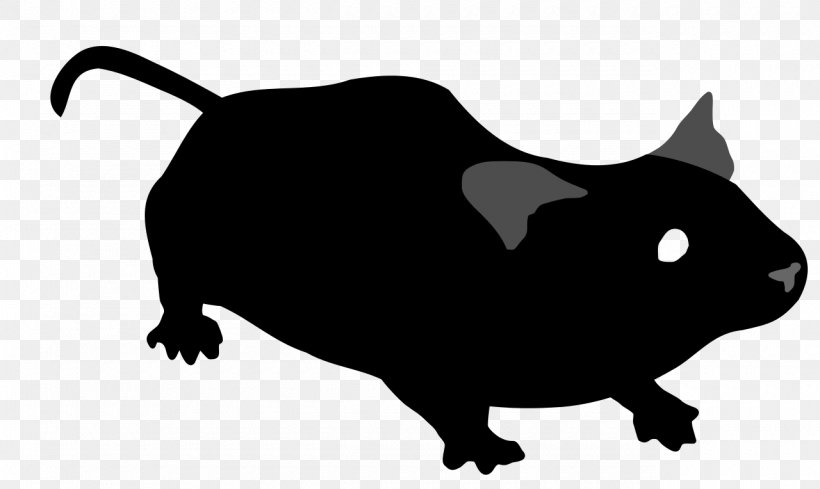 Computer Mouse Epistasis Clip Art, PNG, 1280x764px, Mouse, Black, Black And White, Carnivoran, Cat Download Free