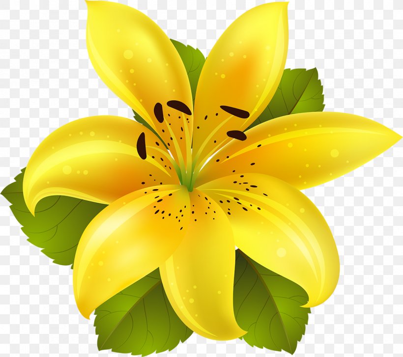 Flower Lilium Clip Art, PNG, 1200x1065px, Flower, Flowering Plant, Fuel, Lilium, Lily Download Free