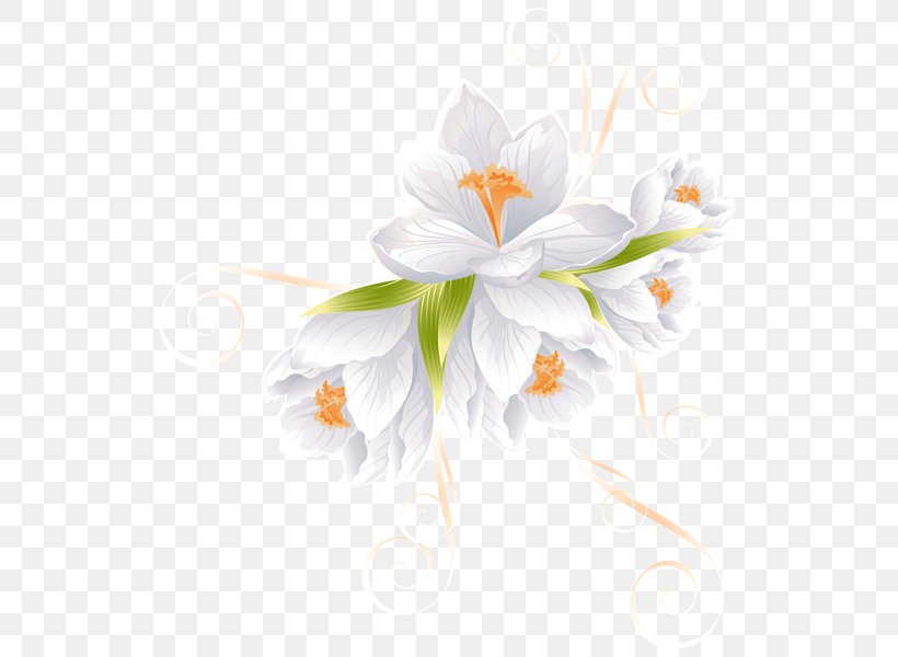 Flower White Lilium Clip Art, PNG, 544x600px, Flower, Blue, Flora, Floral Design, Floristry Download Free