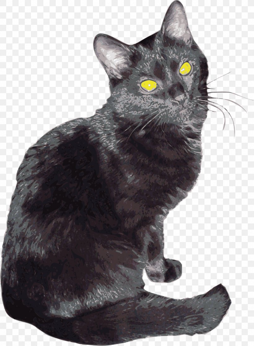 American Shorthair Bombay Cat Korat Chartreux European Shorthair, PNG, 1765x2400px, American Shorthair, American Wirehair, Animal, Asian, Black Download Free